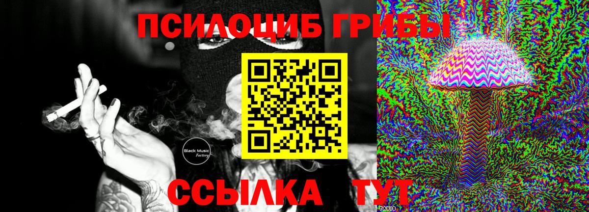 Псилоцибиновые грибы Psilocybine cubensis  Шали 