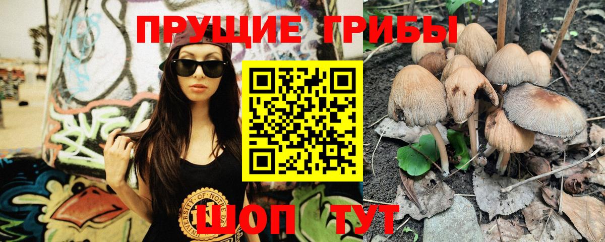 Галлюциногенные грибы Psilocybe Шали