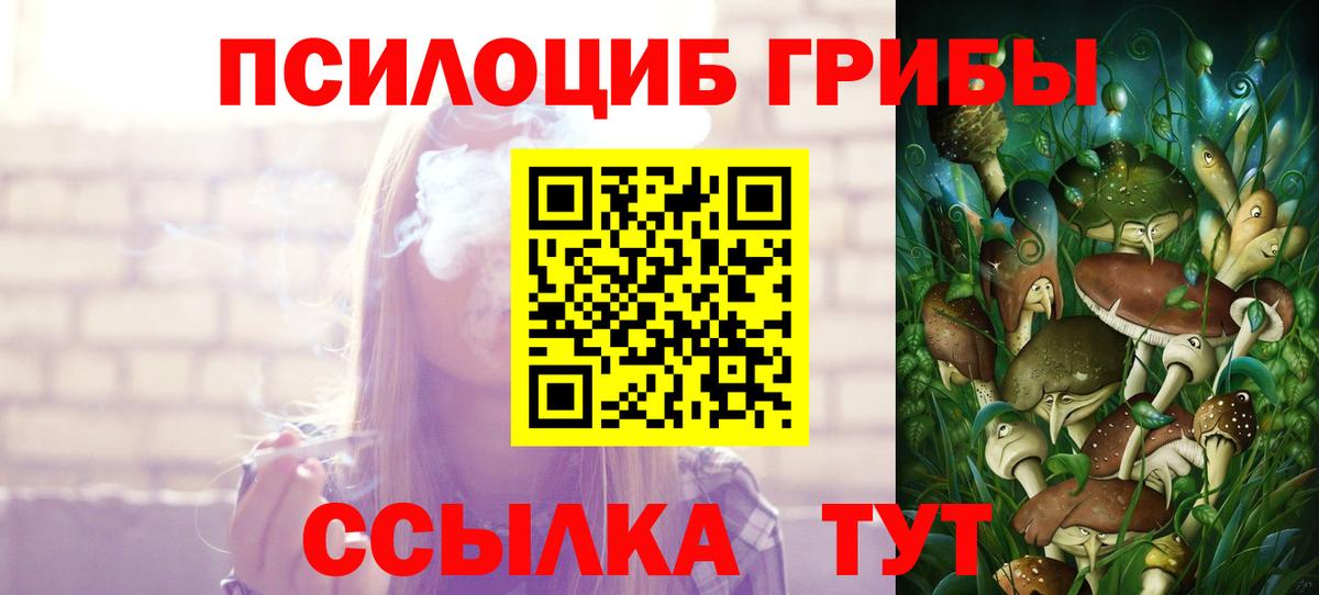 Псилоцибиновые грибы ЛСД  купить  сайты  Шали  Вход с VPN 